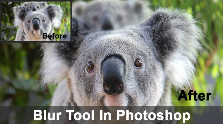 blur-tool-in-photoshop-guide-to-how-to-use-blur-tool-in-photoshop