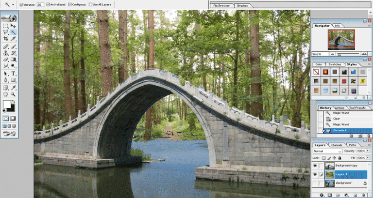 Magic Wand Tool in Photoshop | How to use the Magic Wand Tool