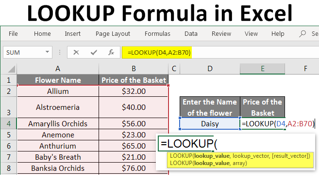 excel-lookup-function-with-formula-examples-www-vrogue-co