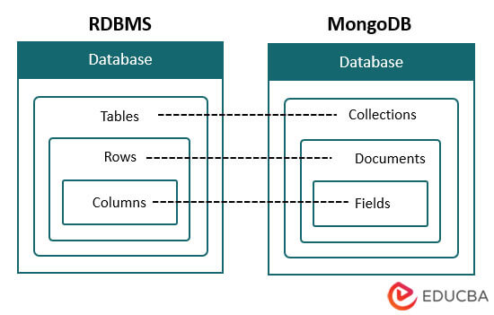 mongodb database