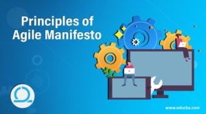 Principles of Agile Manifesto | Discover the 12 Principles of Agile ...