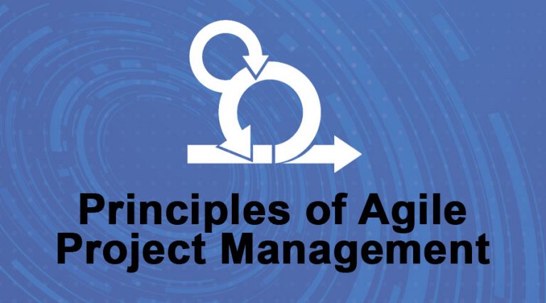Principles of Agile Project Management | 12 Best Key Principles of Agile