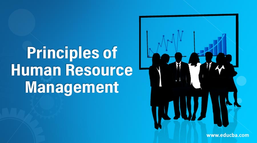 Principles Of Human Resource Management | Roles And Nature Of Hrm