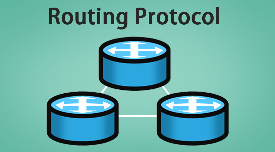 Which Are Routing Protocols