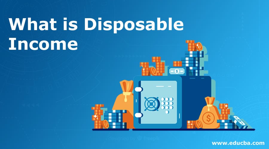 What Is Disposable Income Types And Example With Advantages