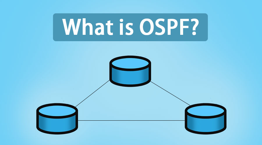 OSPF Protocol