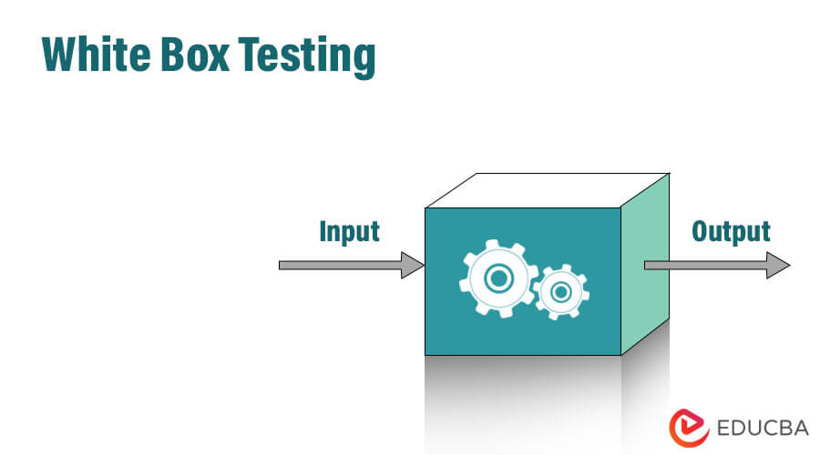 What is White box testing?