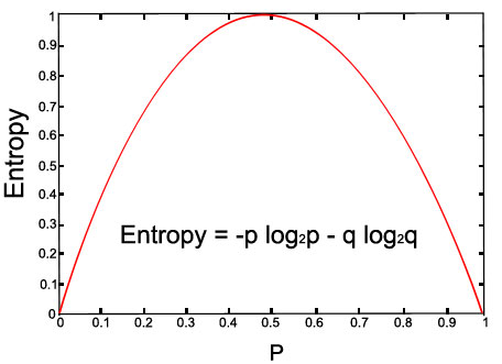 Entropy