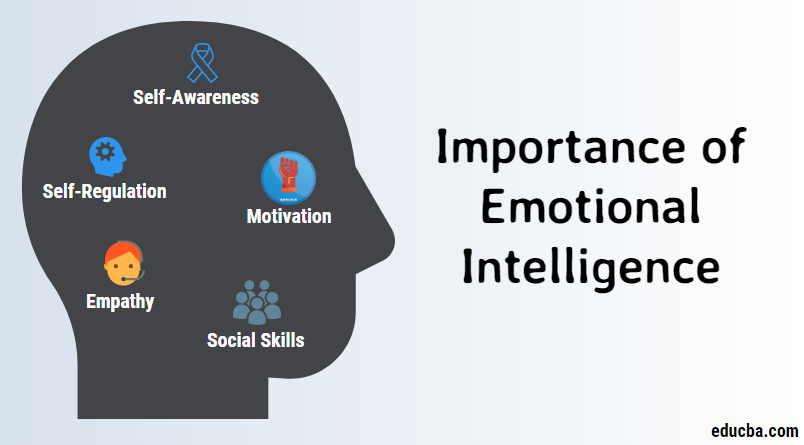 Why Emotional Intelligence Is Important in the Workplace