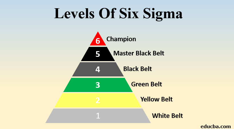 six sigma belts levels