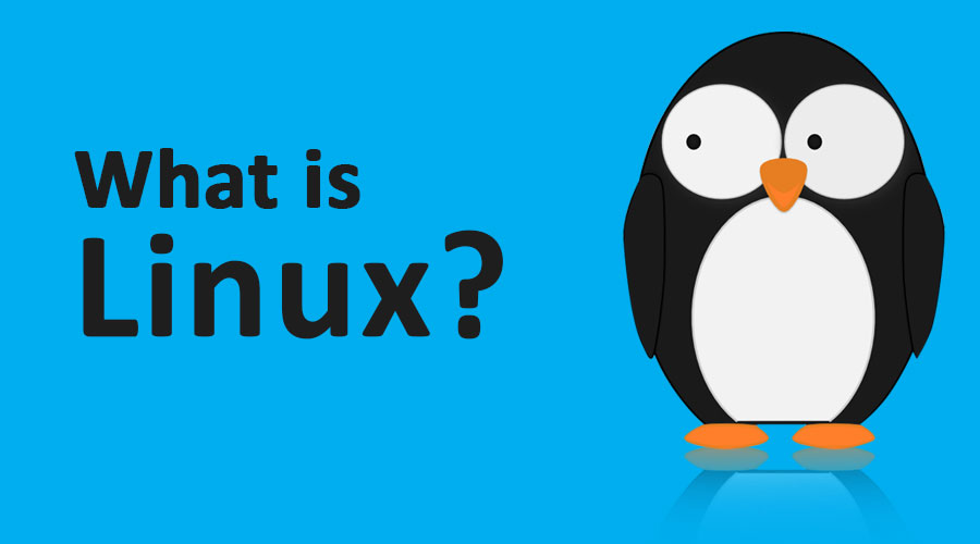 introduction-to-linux-and-how-does-linux-work