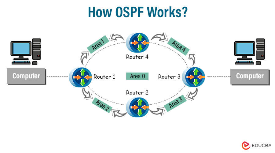 How OSPF Works
