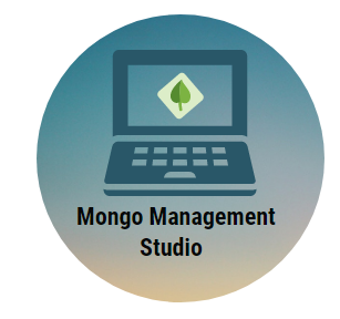 mongo management studio connecting to a database