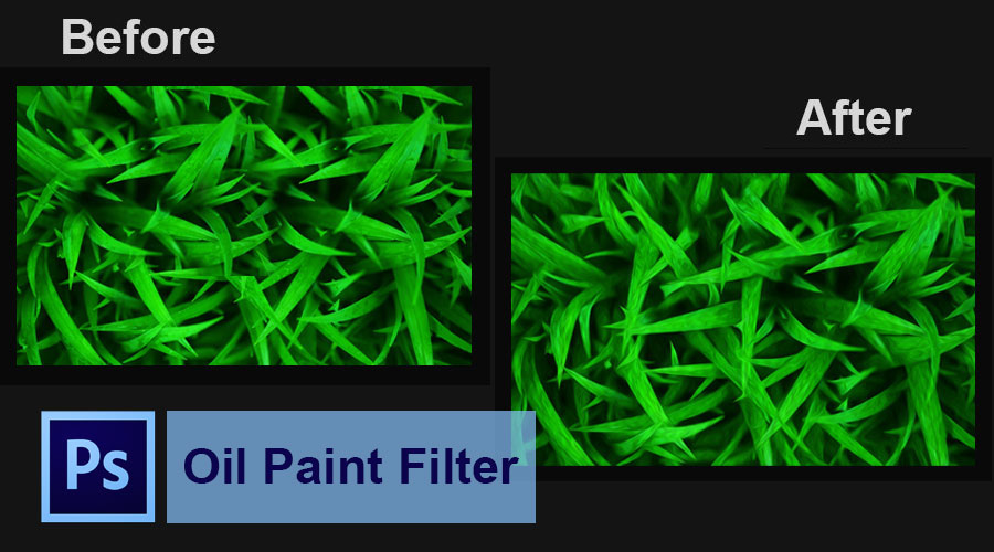 import oil paint filter for photoshop