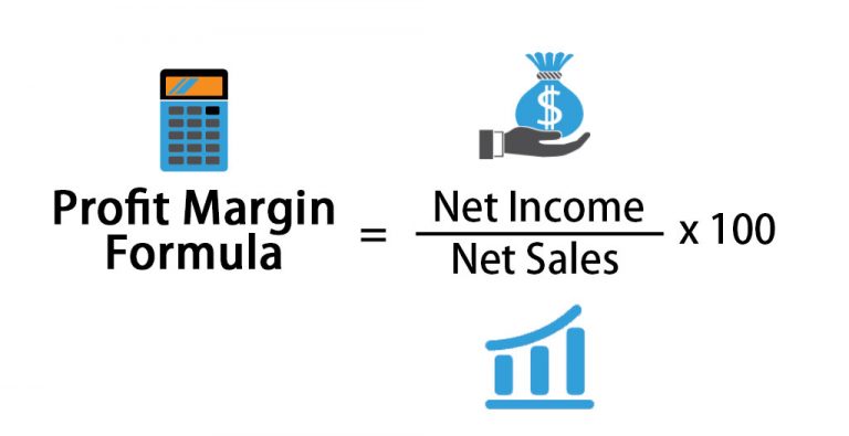 Profit Margin Formula Calculator Examples With Excel Template 8653
