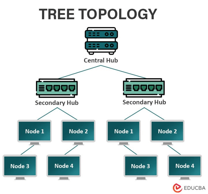 Types of Network Topology-Tree Topology