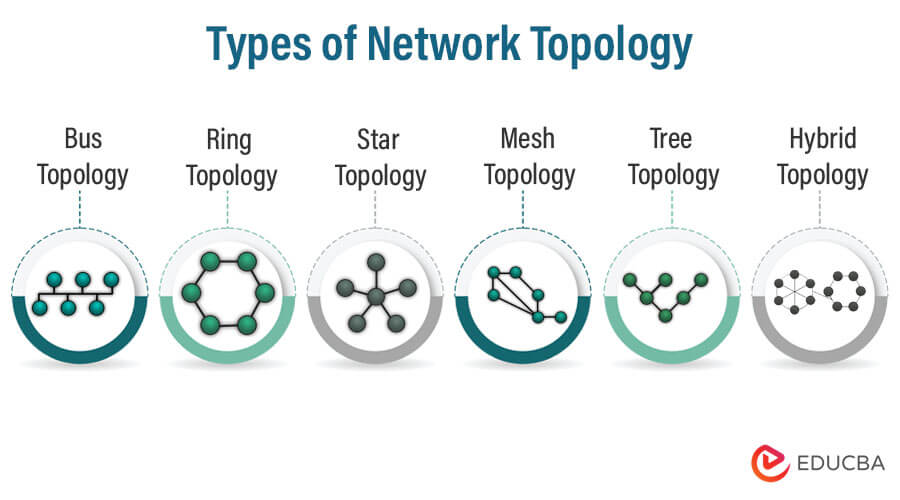 Different Types of Network Topologies - Inst Tools