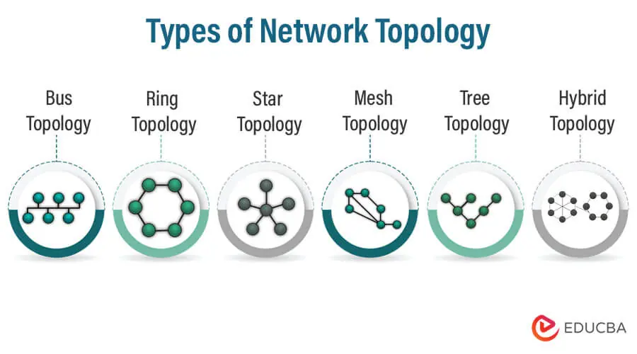 Types of Network Topology