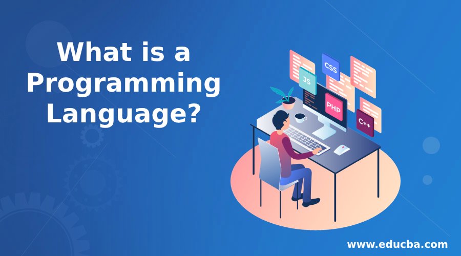 What is a Programming Language