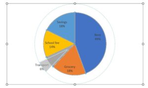 Pie Chart Examples | Types of Pie Charts in Excel with Examples