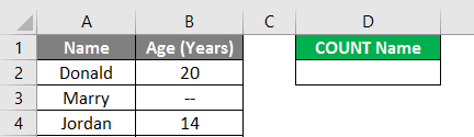 Count Names in Excel example 1.2
