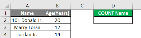 Count Names in Excel example 2.2