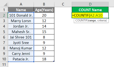 Count Names in Excel example 2.4
