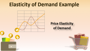 Elasticity of Demand Example | Examples on Elasticity of Demand