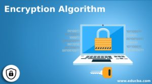 Encryption Algorithm | Understanding & 5 Types of Encryption Algorithm