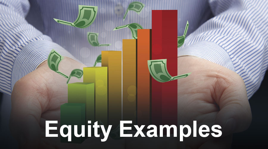 Equity Examples