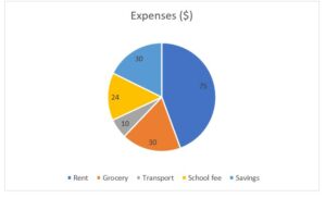 Pie Chart Examples | Types of Pie Charts in Excel with Examples