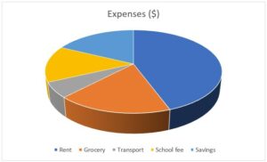 Pie Chart Examples | Types of Pie Charts in Excel with Examples