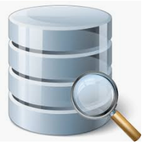 Database Browser