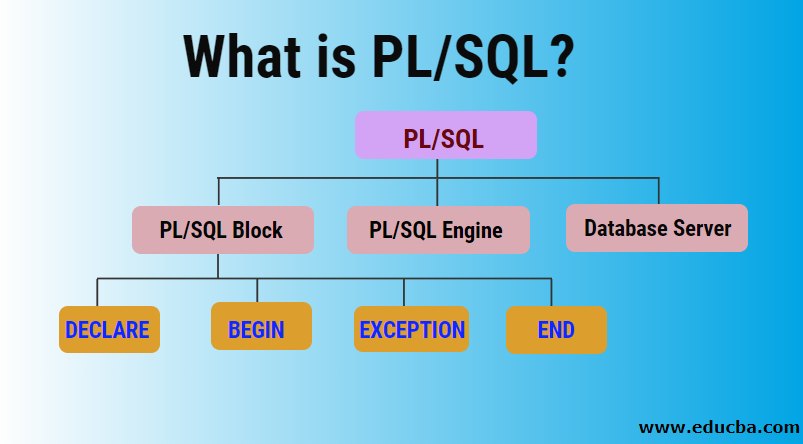 Basics Of Exception handling in PL/SQL Oracle, Oracle Database Tutorial