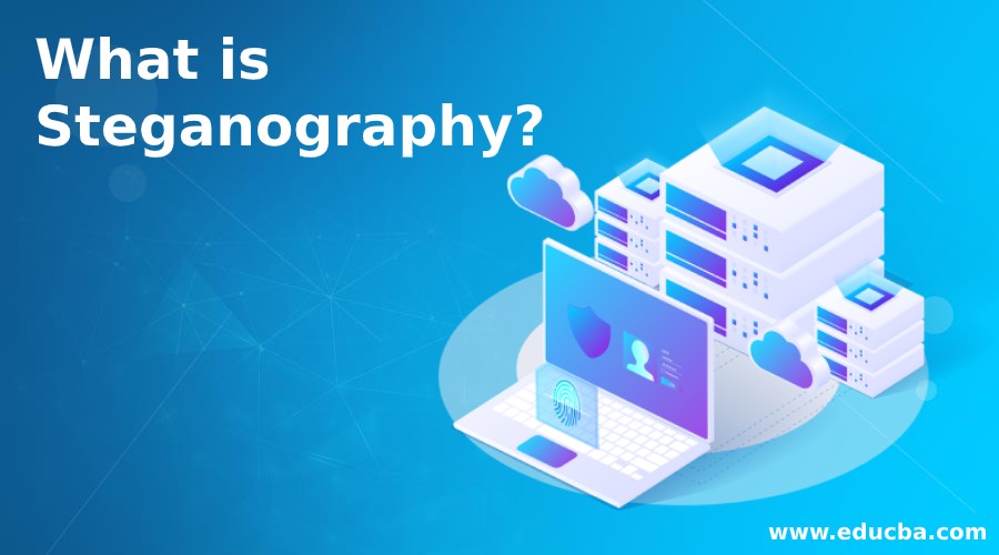 What is Steganography