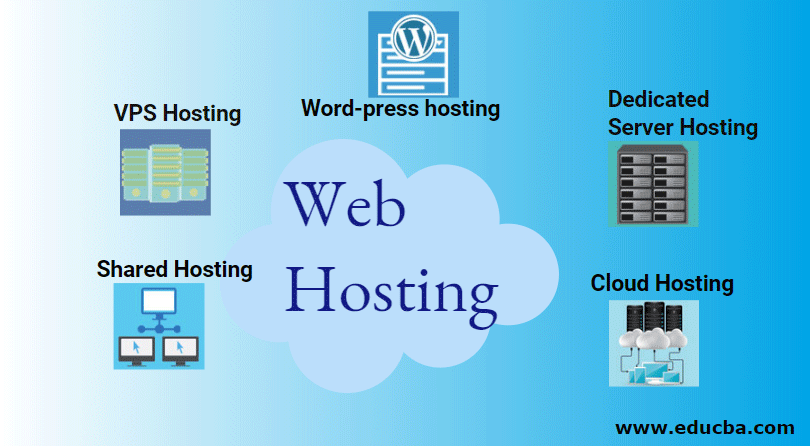 Mammoth affjedring Hummingbird What is Web Hosting | Working | Types of Web Hosting