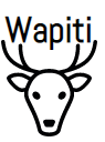 Security Testing Tools - wapiti