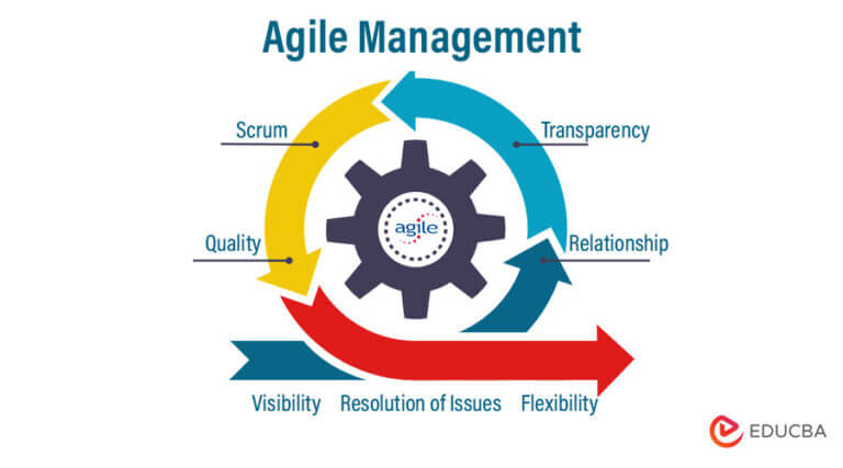 Agile Management | Principles & Characteristics of Agile Management