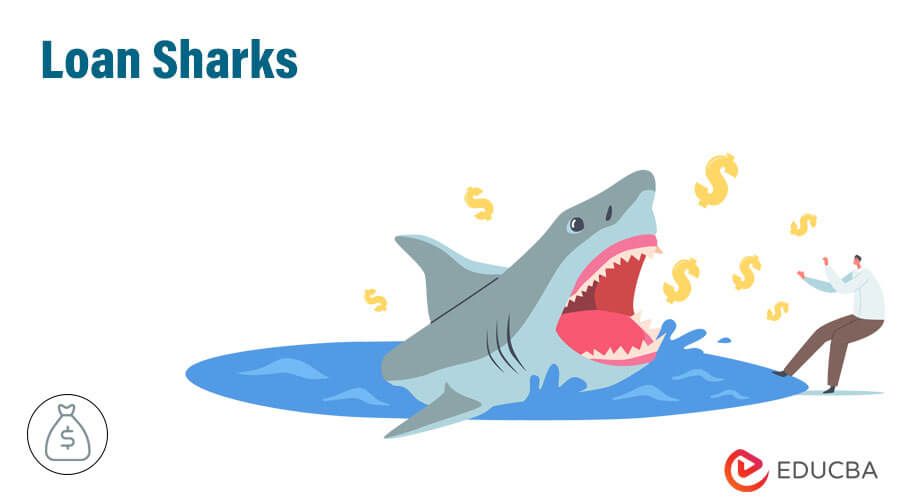 Loan Sharks