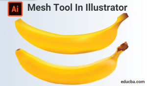 Mesh Tool In Illustrator | Guide to How to use Mesh tool in Illustrator?