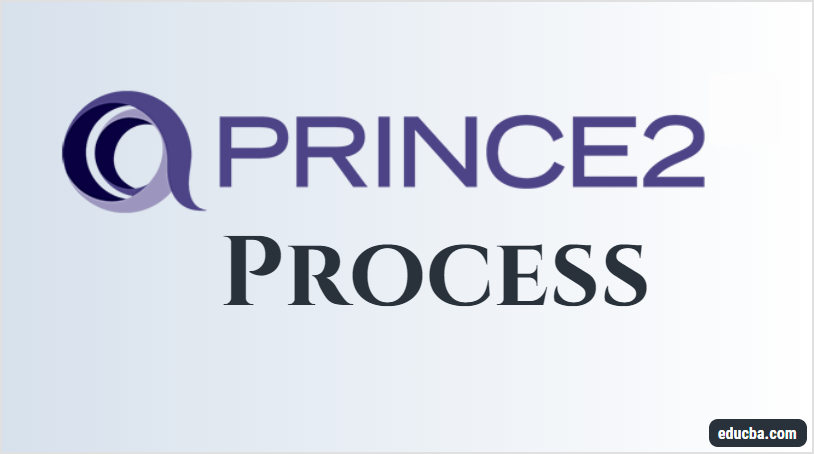 Prince2 Process