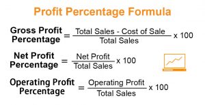 Profit Percentage Formula | Examples With Excel Template