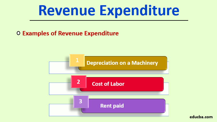 Revenue Expenditure  Top 3 Examples of Revenue Expenditure