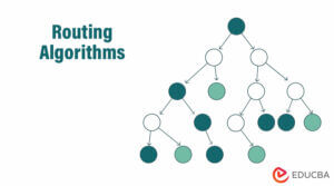 Routing Algorithms | Comprehensive Understanding of Routing Algorithms