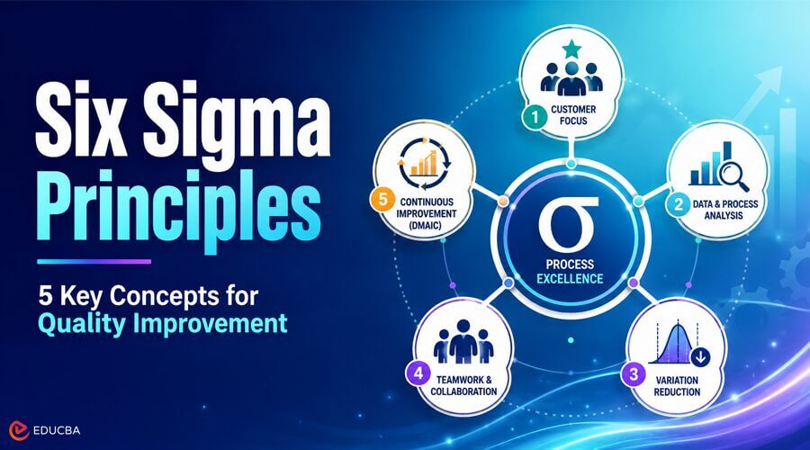 Six Sigma Principles