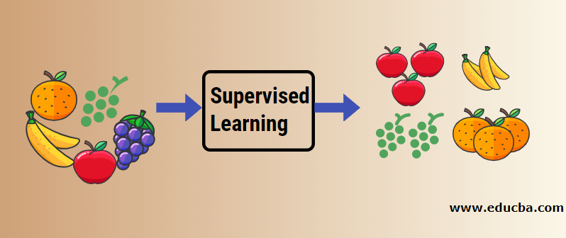 Explain supervised store learning with example