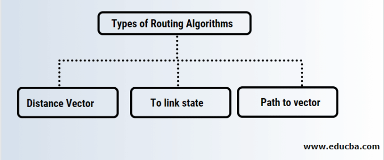 Routing Algorithms | Comprehensive Understanding Of Routing Algorithms