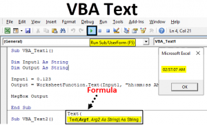 VBA Text | How to Use Text Function in Excel VBA with Examples?