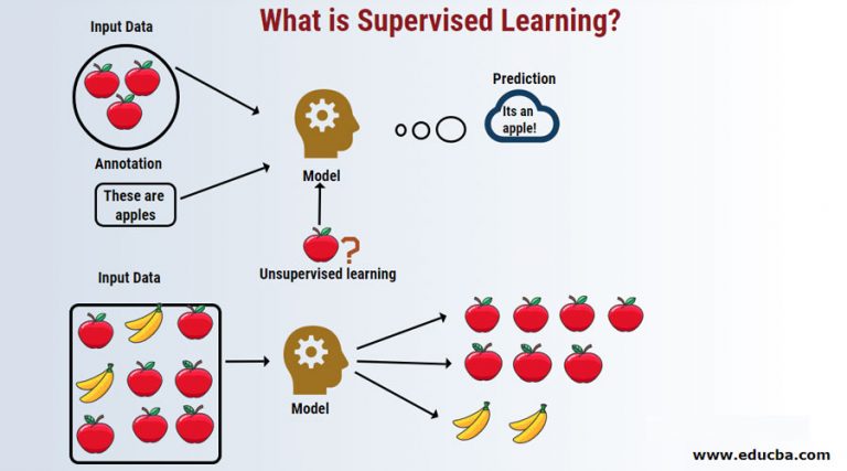 case study on supervised learning