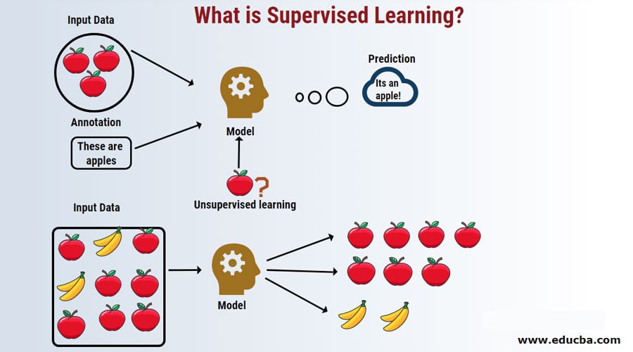 Unsupervised learning real life hot sale example